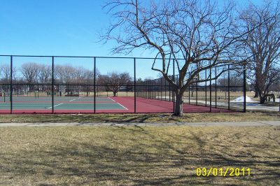 Custom Built Fence & Deck Image